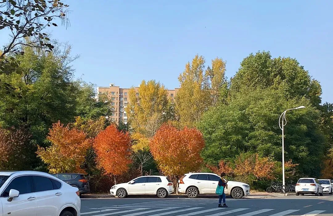业余爱好者如何制定适合自己的篮球训练措施_2